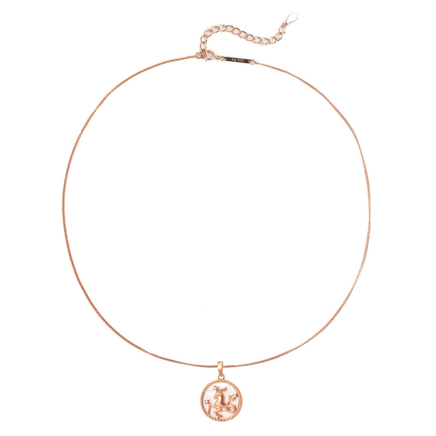 Capricorn Zodiac Pendant Necklace