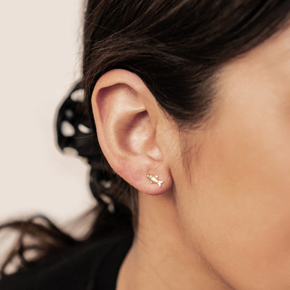 Kissing Fish Stud Earrings Sterling Silver