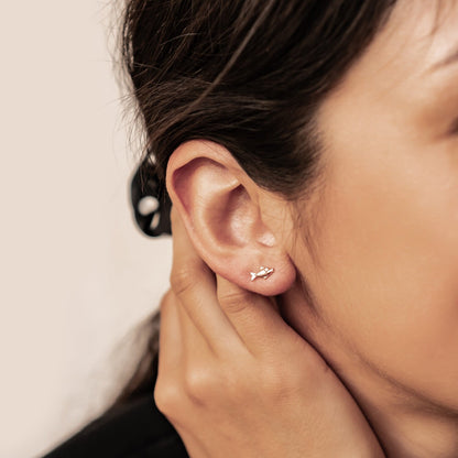 Kissing Fish Stud Earrings Sterling Silver