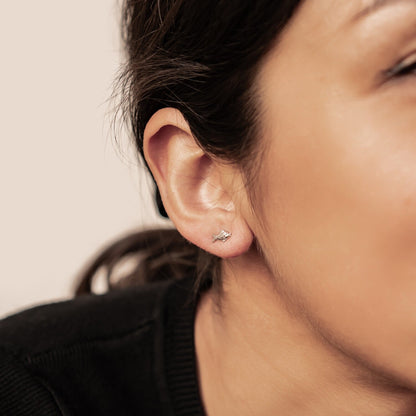 Kissing Fish Stud Earrings Sterling Silver