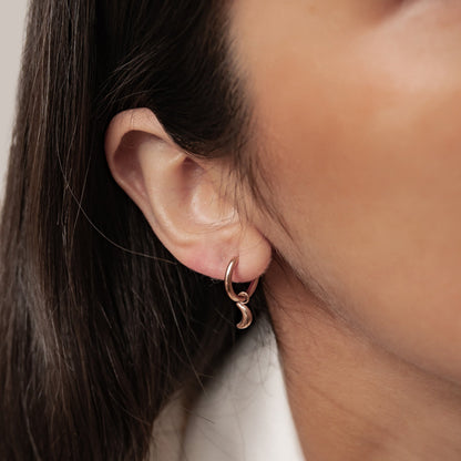 Moon and Star Hoop Earrings Waterproof