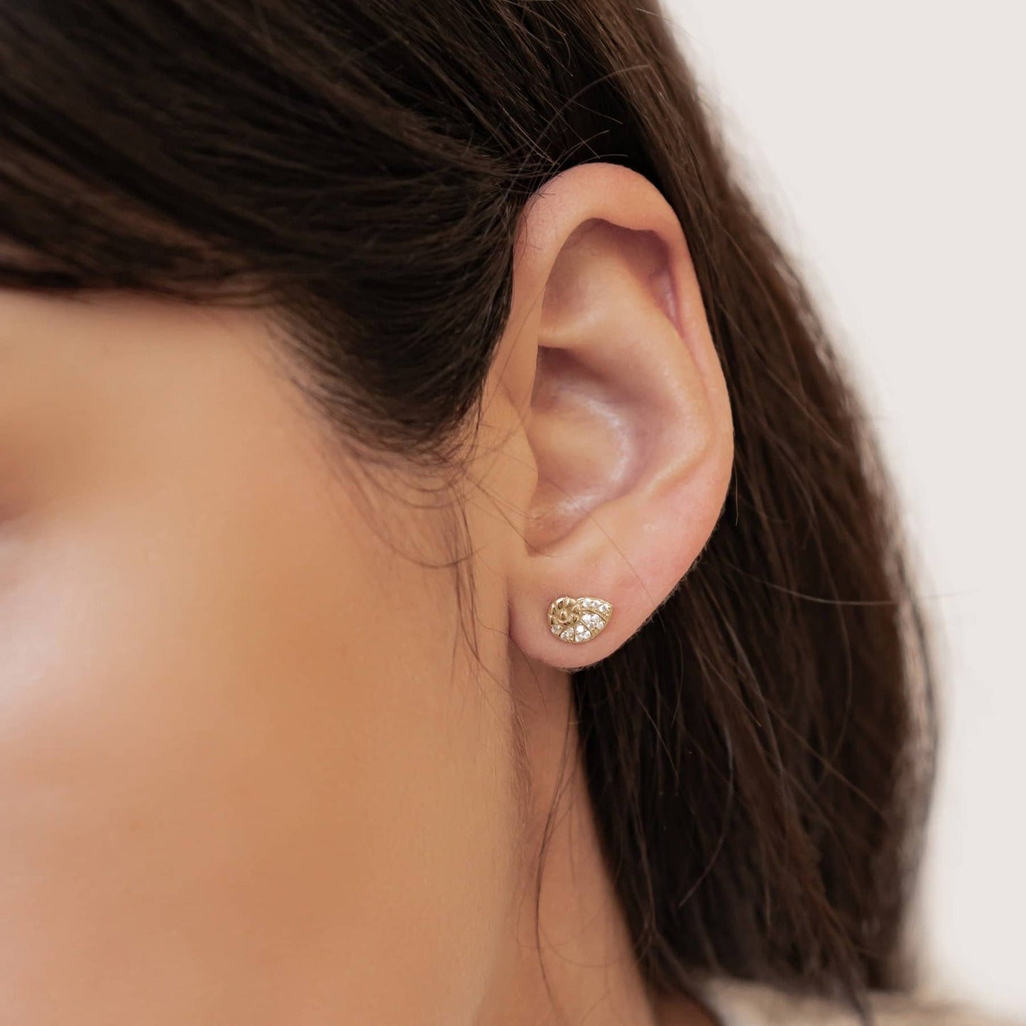 Shell Swirl Sparkle Stud Earrings Sterling Silver