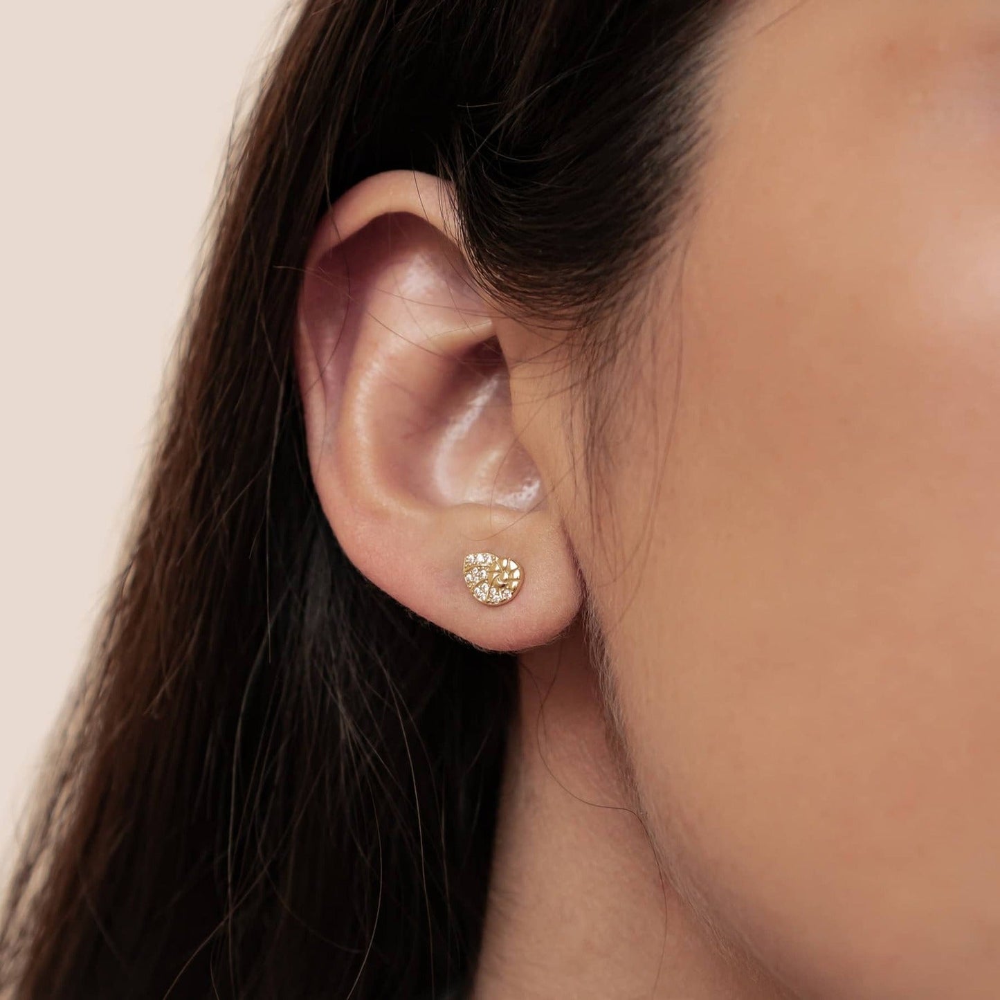 Shell Swirl Sparkle Stud Earrings Sterling Silver