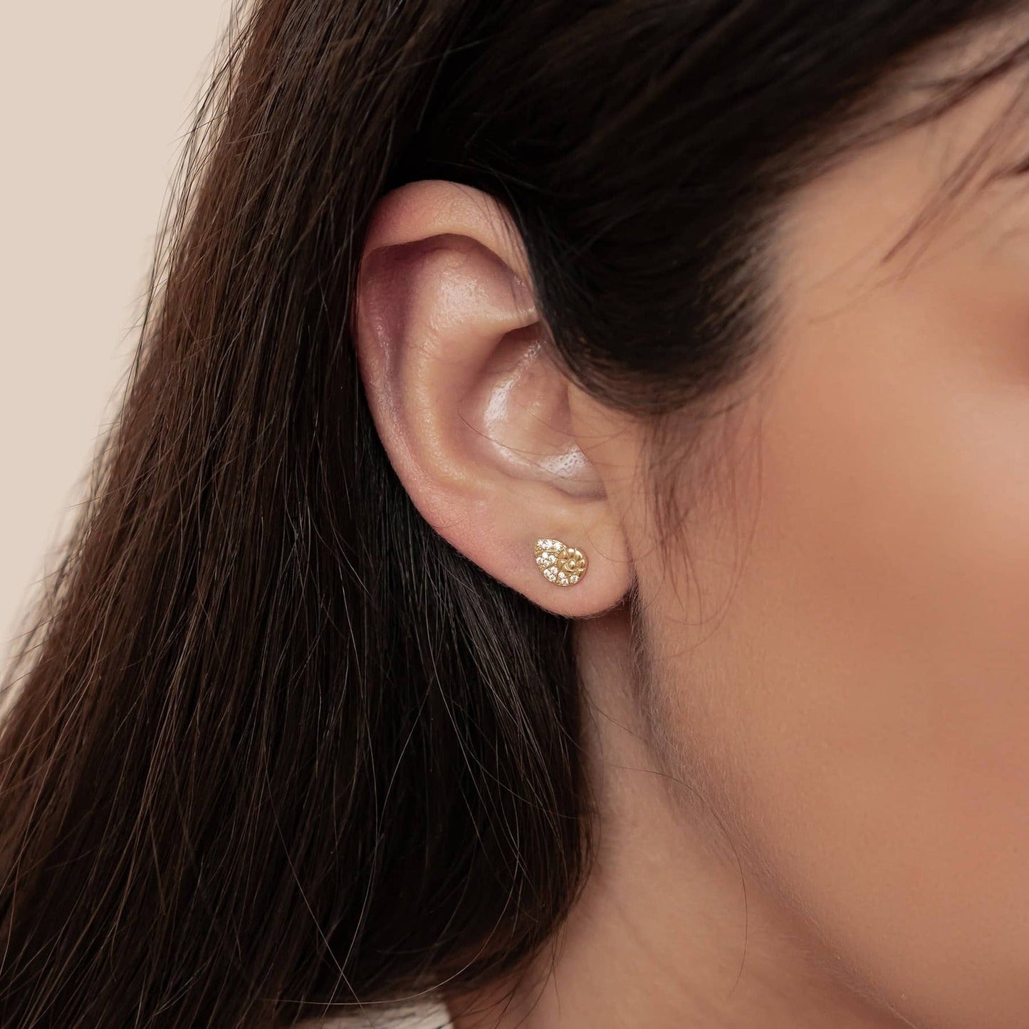 Shell Swirl Sparkle Stud Earrings Sterling Silver