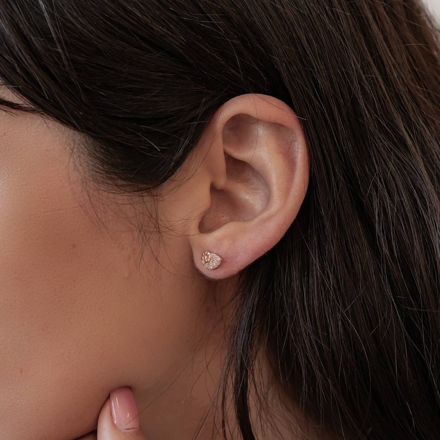 Shell Swirl Sparkle Stud Earrings Sterling Silver