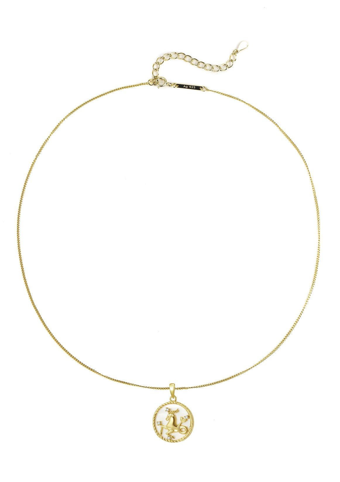 Capricorn Zodiac Pendant Necklace