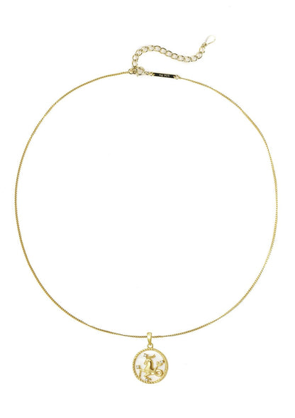 Capricorn Zodiac Pendant Necklace