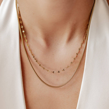 Rolo and Snake Chain Necklace Set